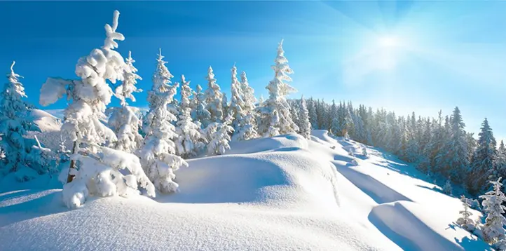 Finchè c'è neve c'è speranza