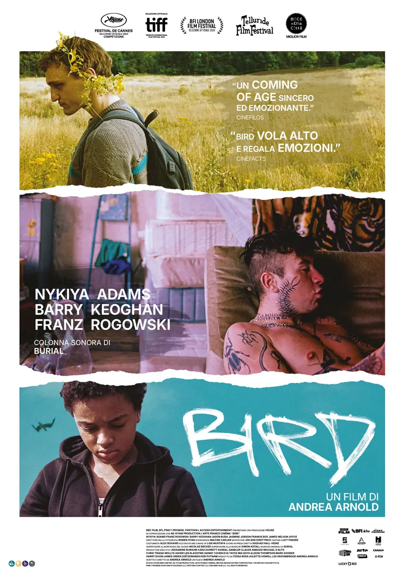 Bird