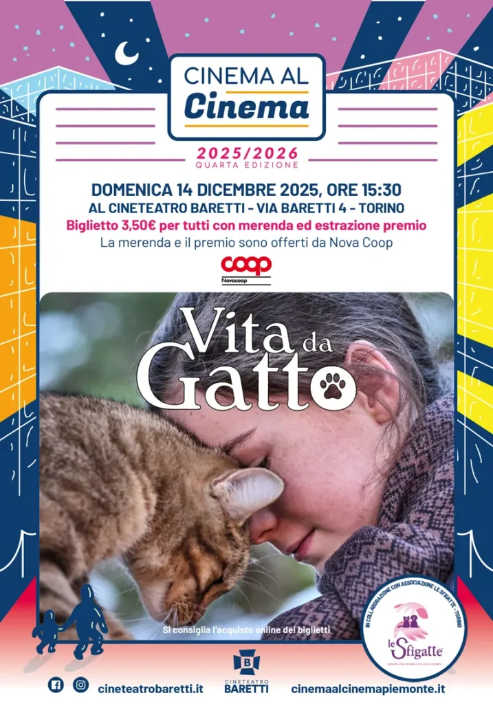 Vita da gatto Vita da gatto